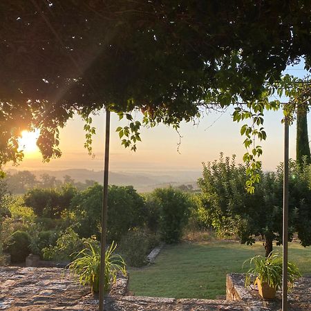 Abbadia Wine Relais Bed & Breakfast Montefollonico Ngoại thất bức ảnh