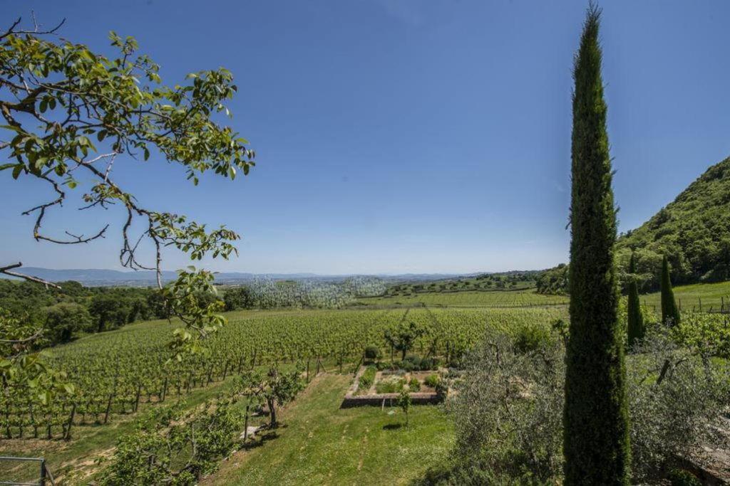 Abbadia Wine Relais Bed & Breakfast Montefollonico Ngoại thất bức ảnh