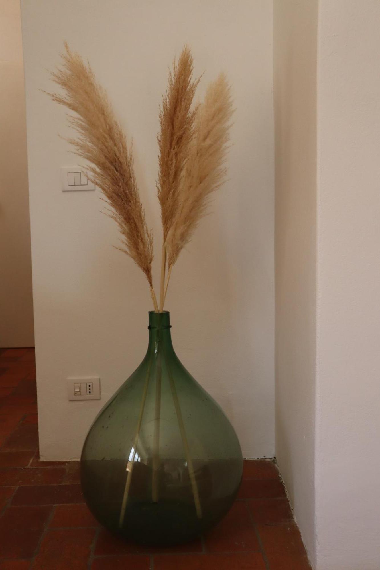 Abbadia Wine Relais Bed & Breakfast Montefollonico Ngoại thất bức ảnh