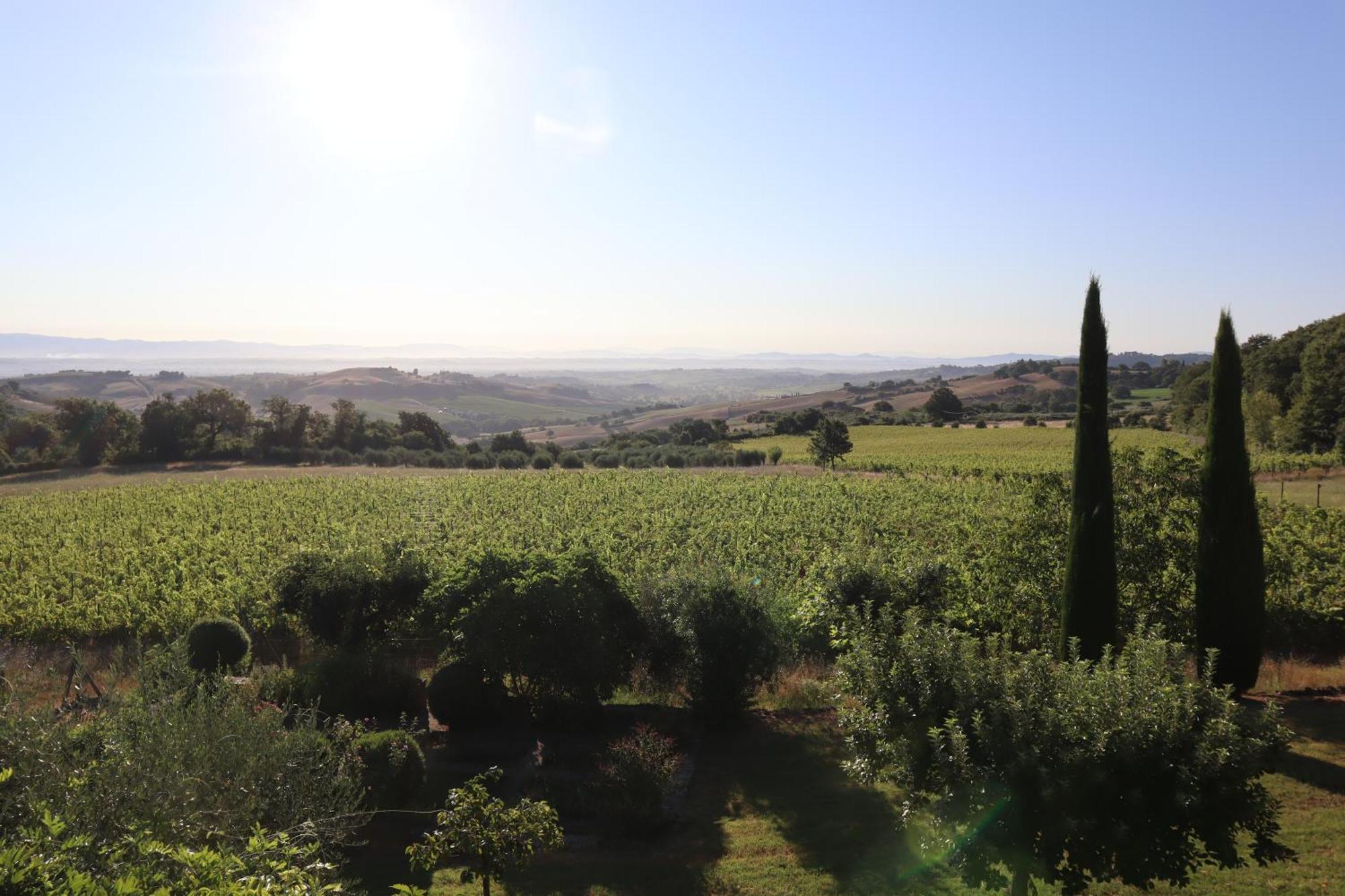 Abbadia Wine Relais Bed & Breakfast Montefollonico Ngoại thất bức ảnh
