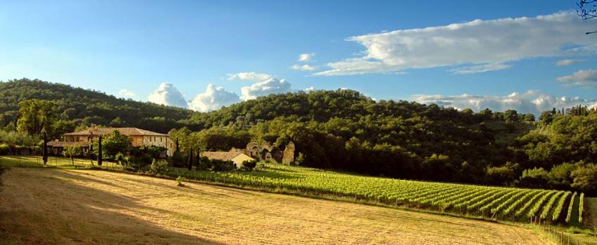Abbadia Wine Relais Bed & Breakfast Montefollonico Ngoại thất bức ảnh