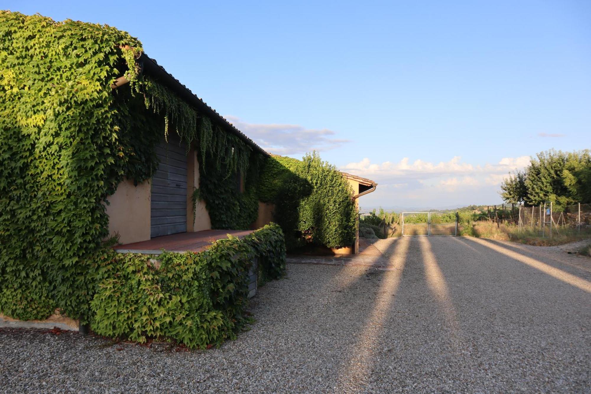 Abbadia Wine Relais Bed & Breakfast Montefollonico Ngoại thất bức ảnh