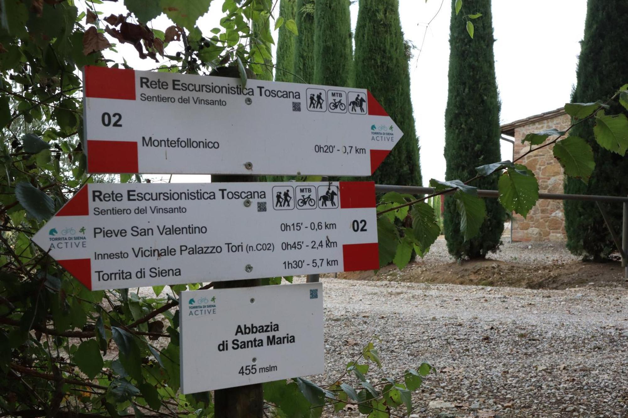 Abbadia Wine Relais Bed & Breakfast Montefollonico Ngoại thất bức ảnh