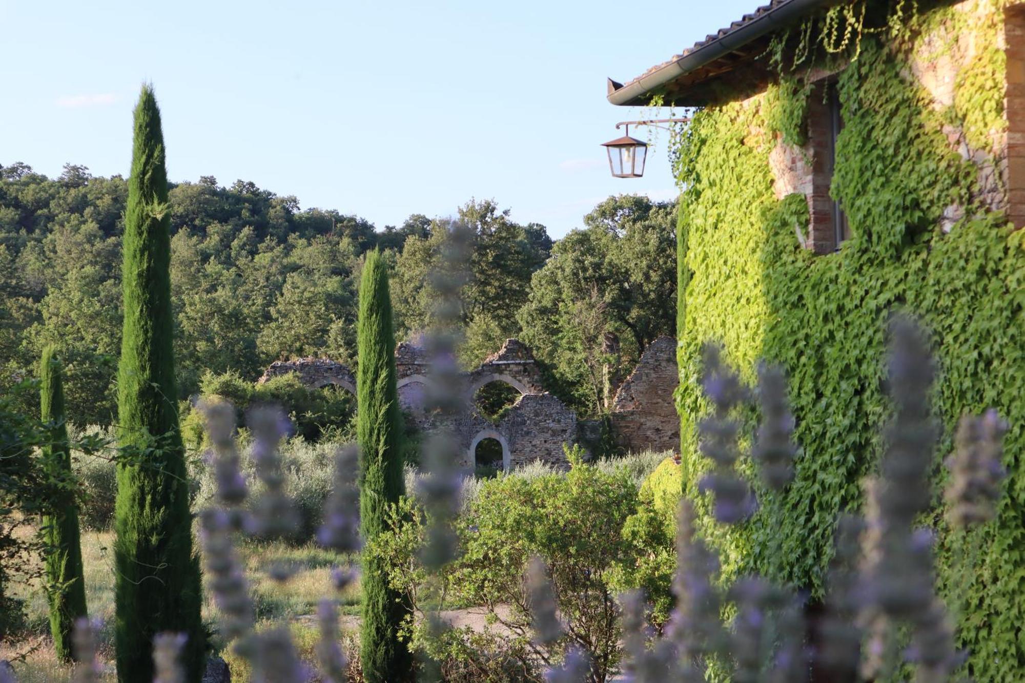 Abbadia Wine Relais Bed & Breakfast Montefollonico Ngoại thất bức ảnh