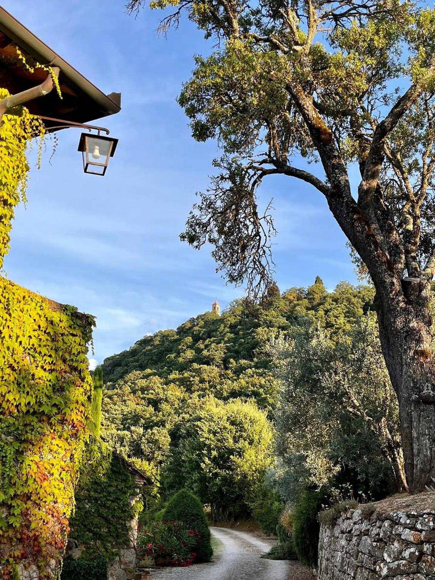 Abbadia Wine Relais Bed & Breakfast Montefollonico Ngoại thất bức ảnh